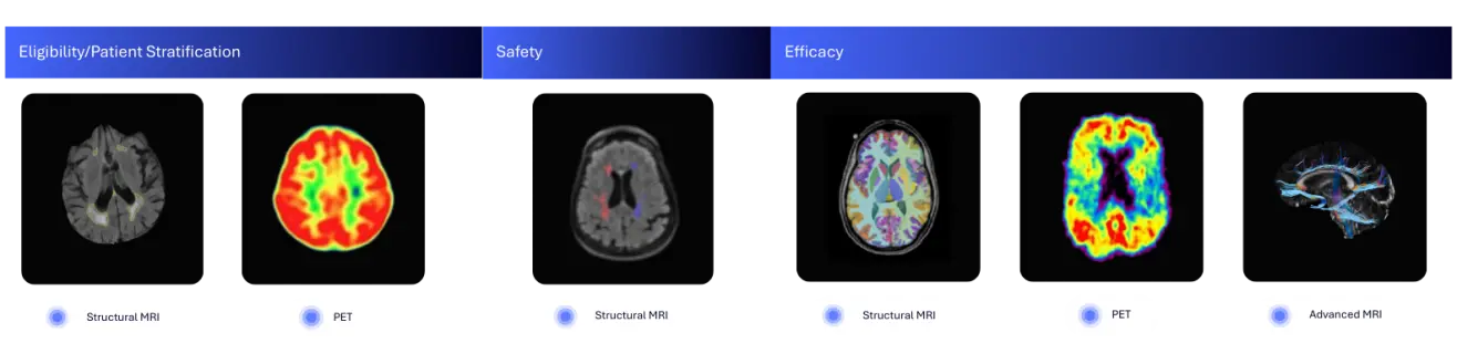 Eligibility Stratification Safety Efficacy
