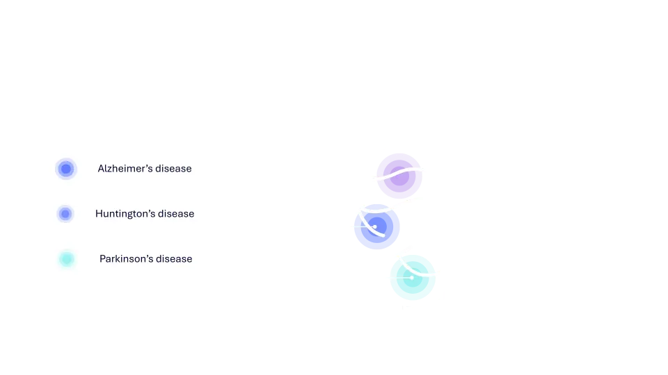 TA Brain Regions L
